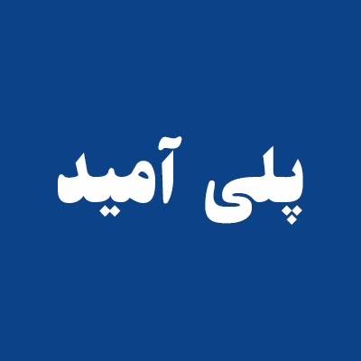 پلی آمید