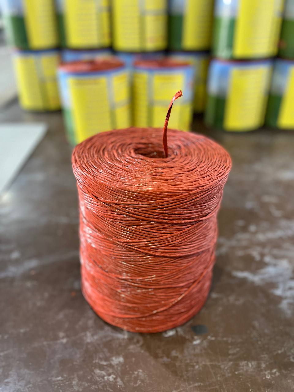 تک رشته از پلی پروپیلن