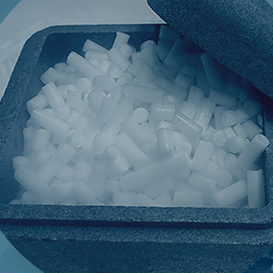 ایران یخ خشک