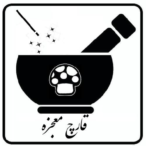 قارچ شیراز