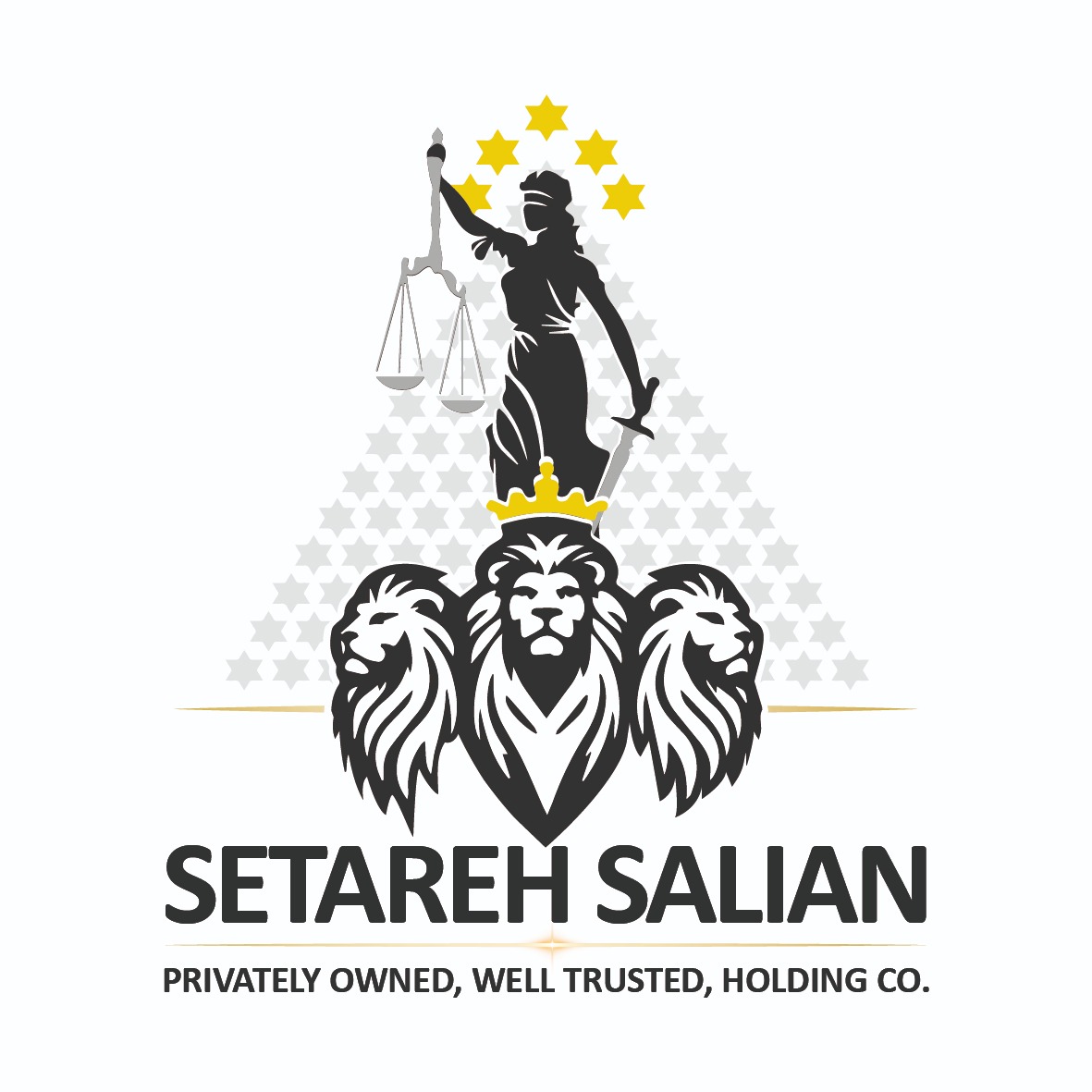 هلدینگ ستاره سالیان